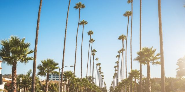 Gym equipment services in Los Angeles County